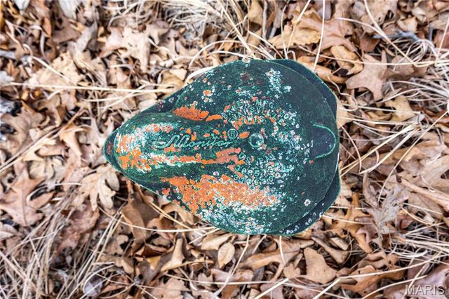 113 E Koester Springs Road, French Village, MO 63036