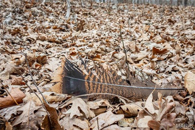 113 E Koester Springs Road, French Village, MO 63036