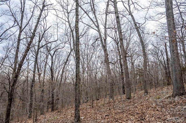 113 E Koester Springs Road, French Village, MO 63036