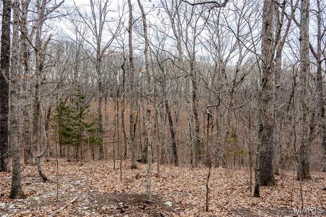 113 E Koester Springs Road, French Village, MO 63036