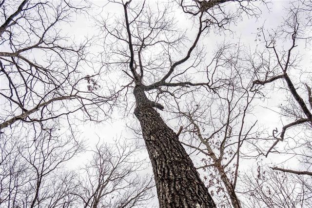 113 E Koester Springs Road, French Village, MO 63036