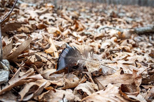 113 E Koester Springs Road, French Village, MO 63036