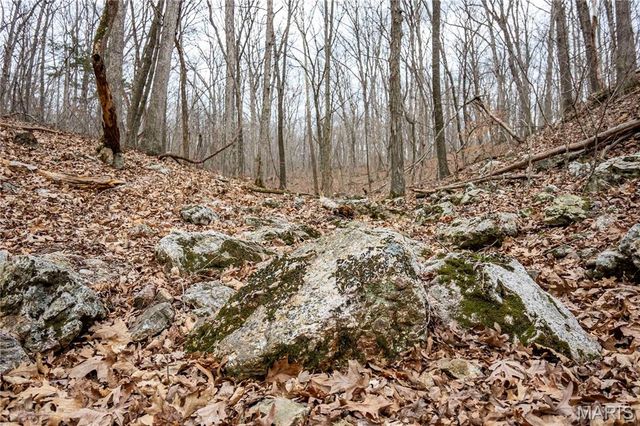 113 E Koester Springs Road, French Village, MO 63036