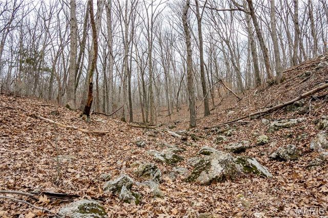 113 E Koester Springs Road, French Village, MO 63036