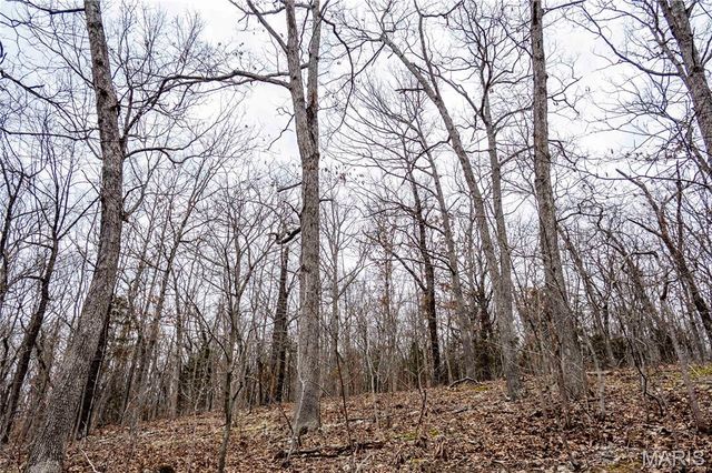 113 E Koester Springs Road, French Village, MO 63036