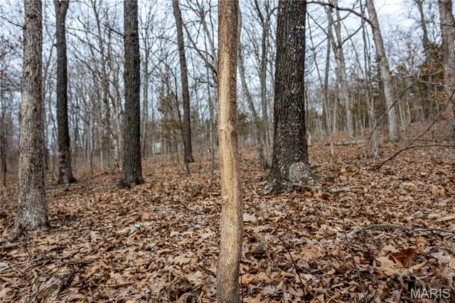 113 E Koester Springs Road, French Village, MO 63036