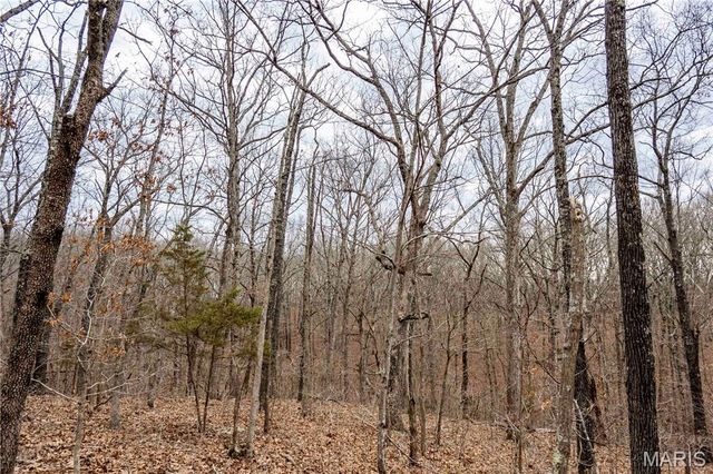 113 E Koester Springs Road, French Village, MO 63036