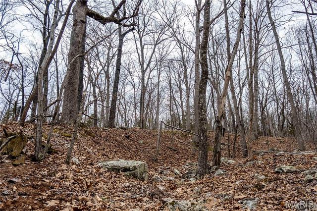 113 E Koester Springs Road, French Village, MO 63036