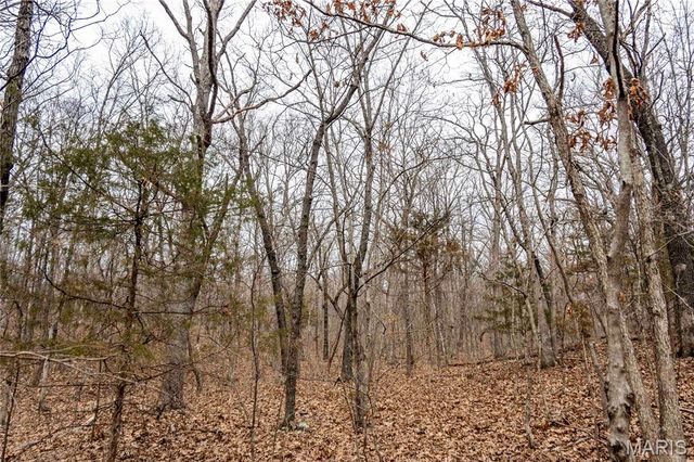 113 E Koester Springs Road, French Village, MO 63036