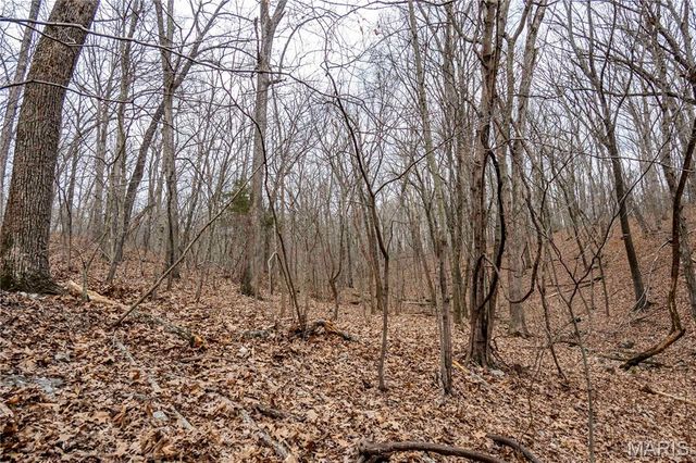 113 E Koester Springs Road, French Village, MO 63036