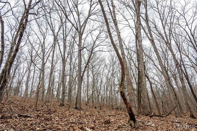 113 E Koester Springs Road, French Village, MO 63036