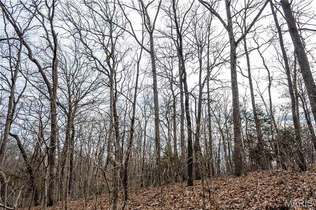 113 E Koester Springs Road, French Village, MO 63036