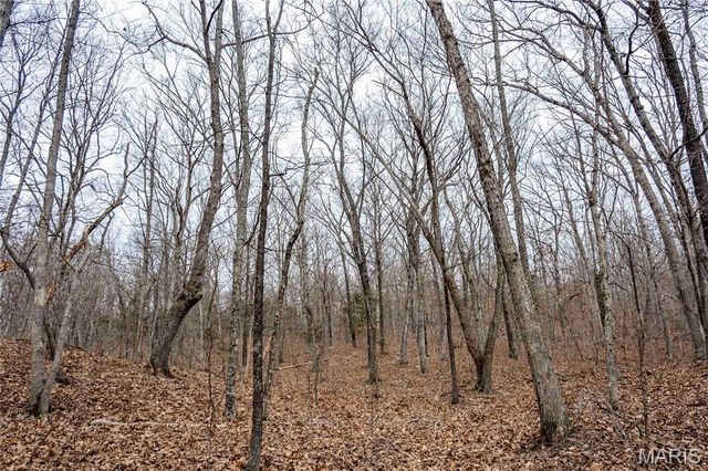 113 E Koester Springs Road, French Village, MO 63036