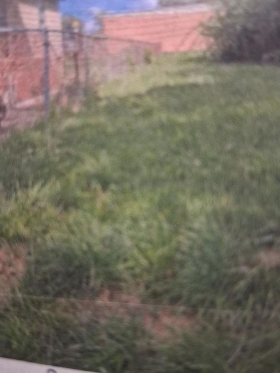 9209 S Harper Avenue, Chicago, IL 60619