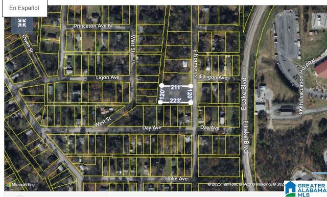 1120 E NORMAN STREET, Birmingham, AL 35217