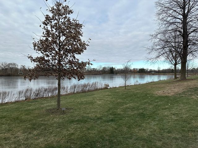 1250 N Streamwood Lane 338, Vernon Hills, IL 60061