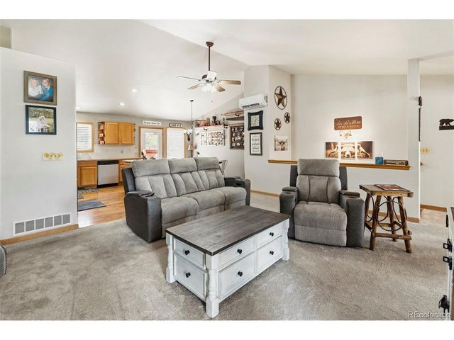 541 Beaver Trl, Bailey, CO 80421