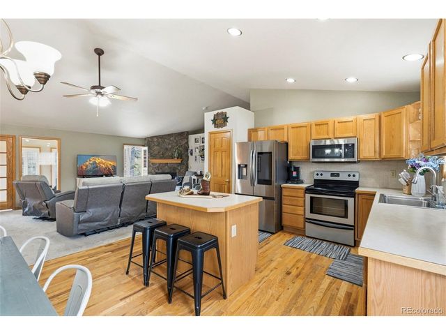 541 Beaver Trl, Bailey, CO 80421