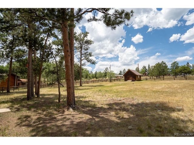 541 Beaver Trl, Bailey, CO 80421