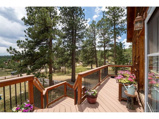 541 Beaver Trl, Bailey, CO 80421