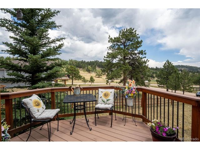 541 Beaver Trl, Bailey, CO 80421