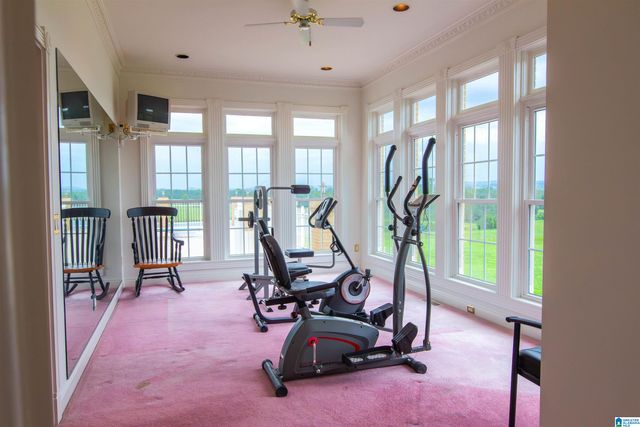 377 COUNTY ROAD 543, Hanceville, AL 35077