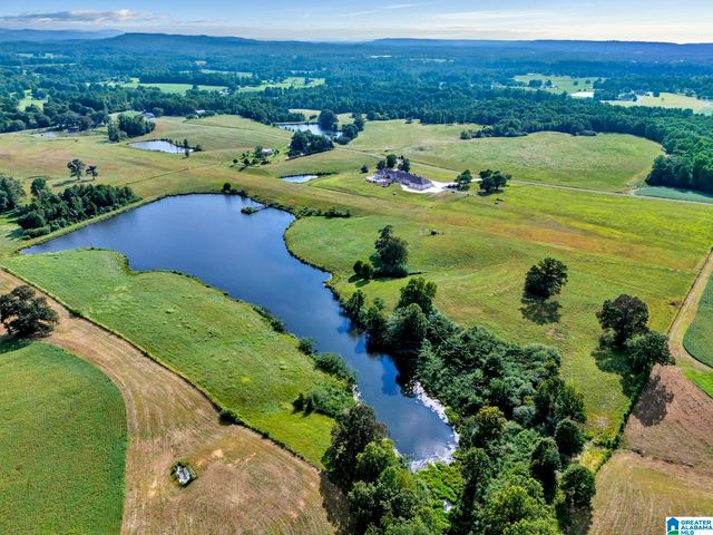 377 COUNTY ROAD 543, Hanceville, AL 35077