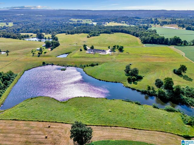 377 COUNTY ROAD 543, Hanceville, AL 35077