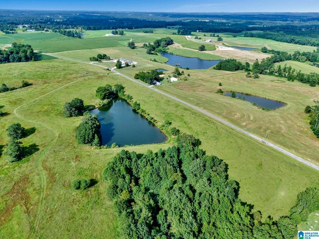 377 COUNTY ROAD 543, Hanceville, AL 35077