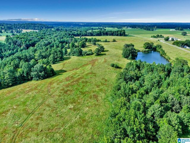 377 COUNTY ROAD 543, Hanceville, AL 35077