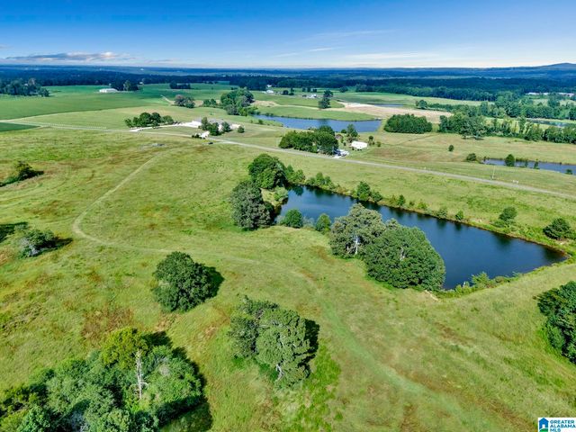 377 COUNTY ROAD 543, Hanceville, AL 35077