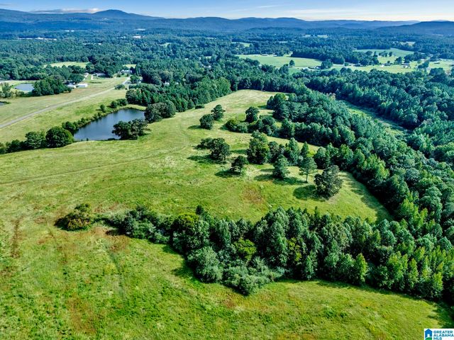 377 COUNTY ROAD 543, Hanceville, AL 35077