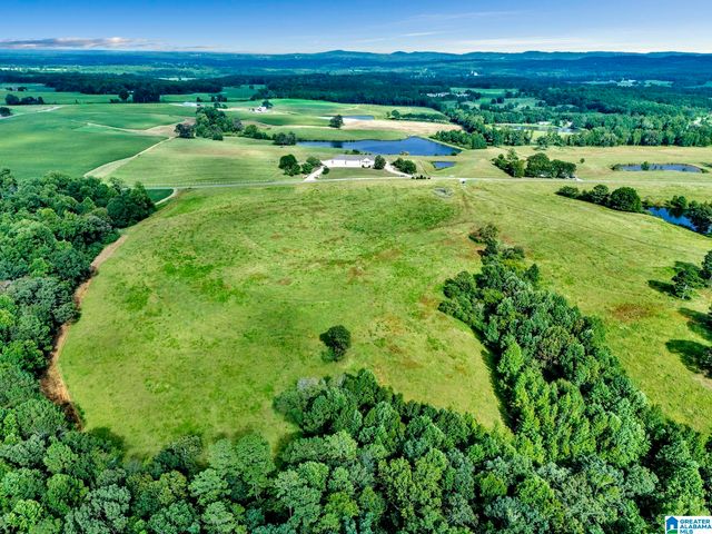 377 COUNTY ROAD 543, Hanceville, AL 35077