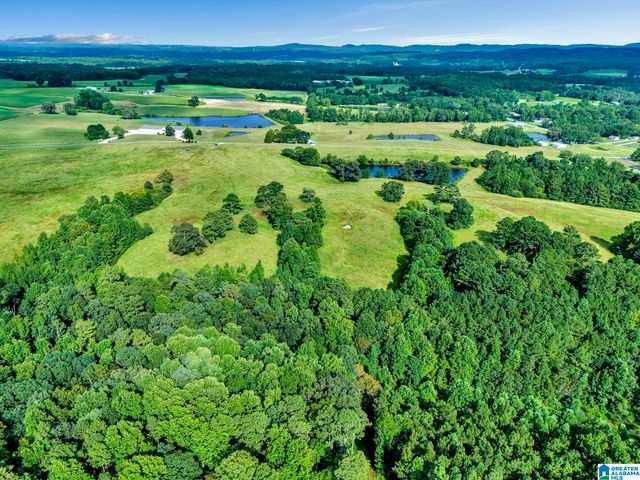 377 COUNTY ROAD 543, Hanceville, AL 35077