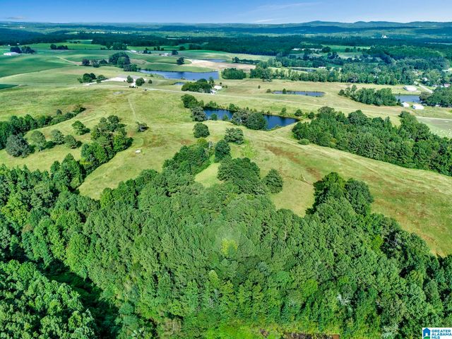 377 COUNTY ROAD 543, Hanceville, AL 35077