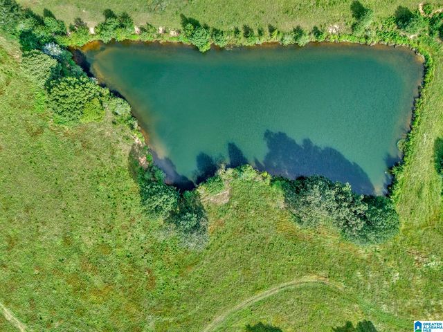 377 COUNTY ROAD 543, Hanceville, AL 35077