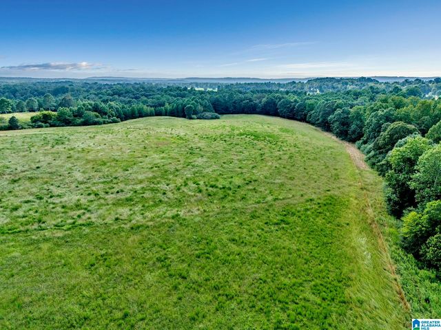 377 COUNTY ROAD 543, Hanceville, AL 35077