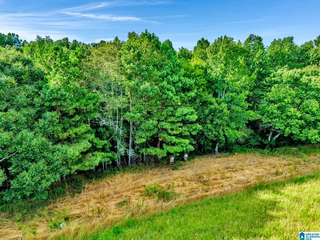 377 COUNTY ROAD 543, Hanceville, AL 35077