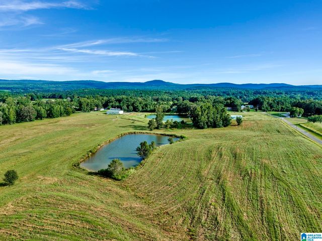 377 COUNTY ROAD 543, Hanceville, AL 35077