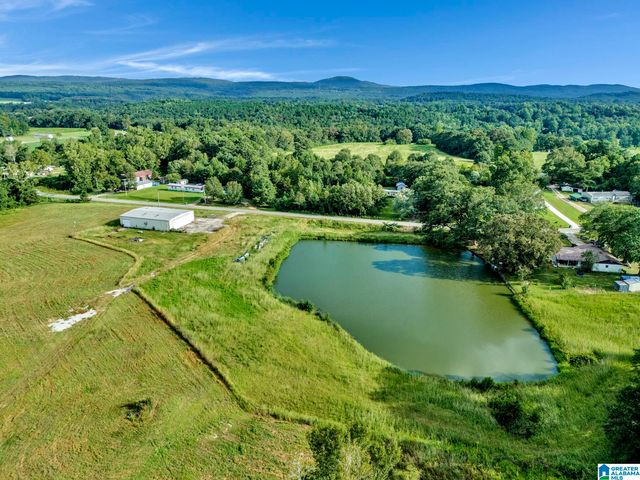 377 COUNTY ROAD 543, Hanceville, AL 35077