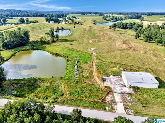 377 COUNTY ROAD 543, Hanceville, AL 35077