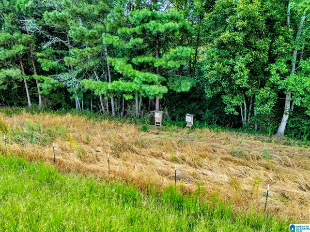 377 COUNTY ROAD 543, Hanceville, AL 35077