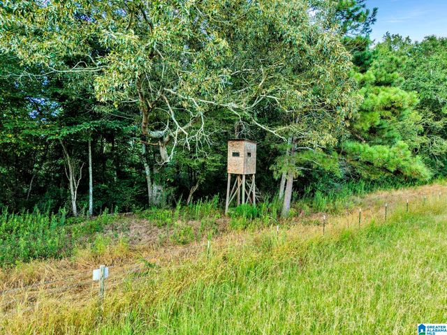 377 COUNTY ROAD 543, Hanceville, AL 35077