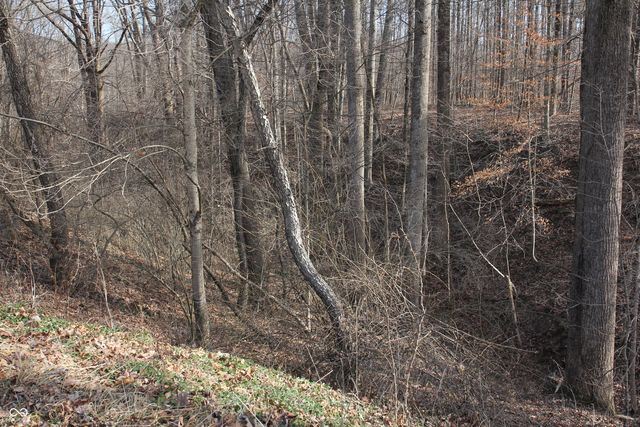 4823 State Road 45, Nashville, IN 47448