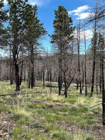 533 Leslie Loop, Fort Garland, CO 81133