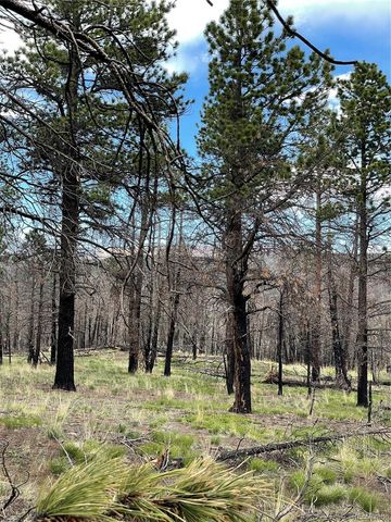 533 Leslie Loop, Fort Garland, CO 81133