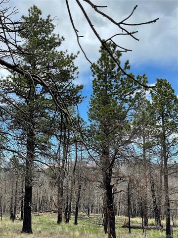 533 Leslie Loop, Fort Garland, CO 81133