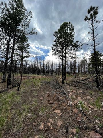 533 Leslie Loop, Fort Garland, CO 81133