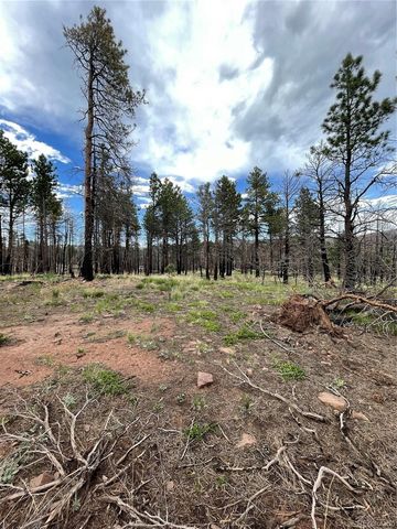 533 Leslie Loop, Fort Garland, CO 81133