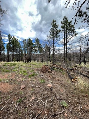 533 Leslie Loop, Fort Garland, CO 81133